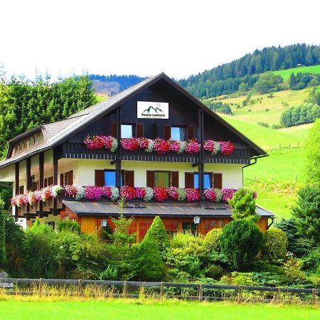 Pension Lambrecht Sankt Lambrecht Exterior foto